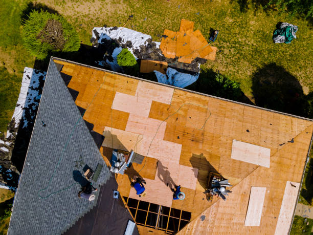 Best Roof Waterproofing Services  in Dawsonville, GA