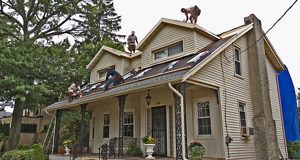 Best Roof Repair Services  in Dawsonville, GA